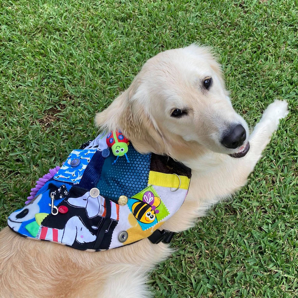 Custom Made Fine Motor Skills / Sensory Therapy Dog Coat