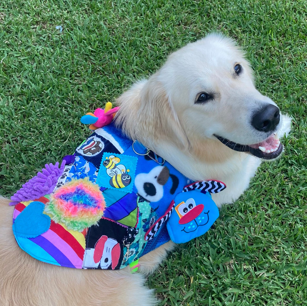 Custom Made Fine Motor Skills / Sensory Therapy Dog Coat
