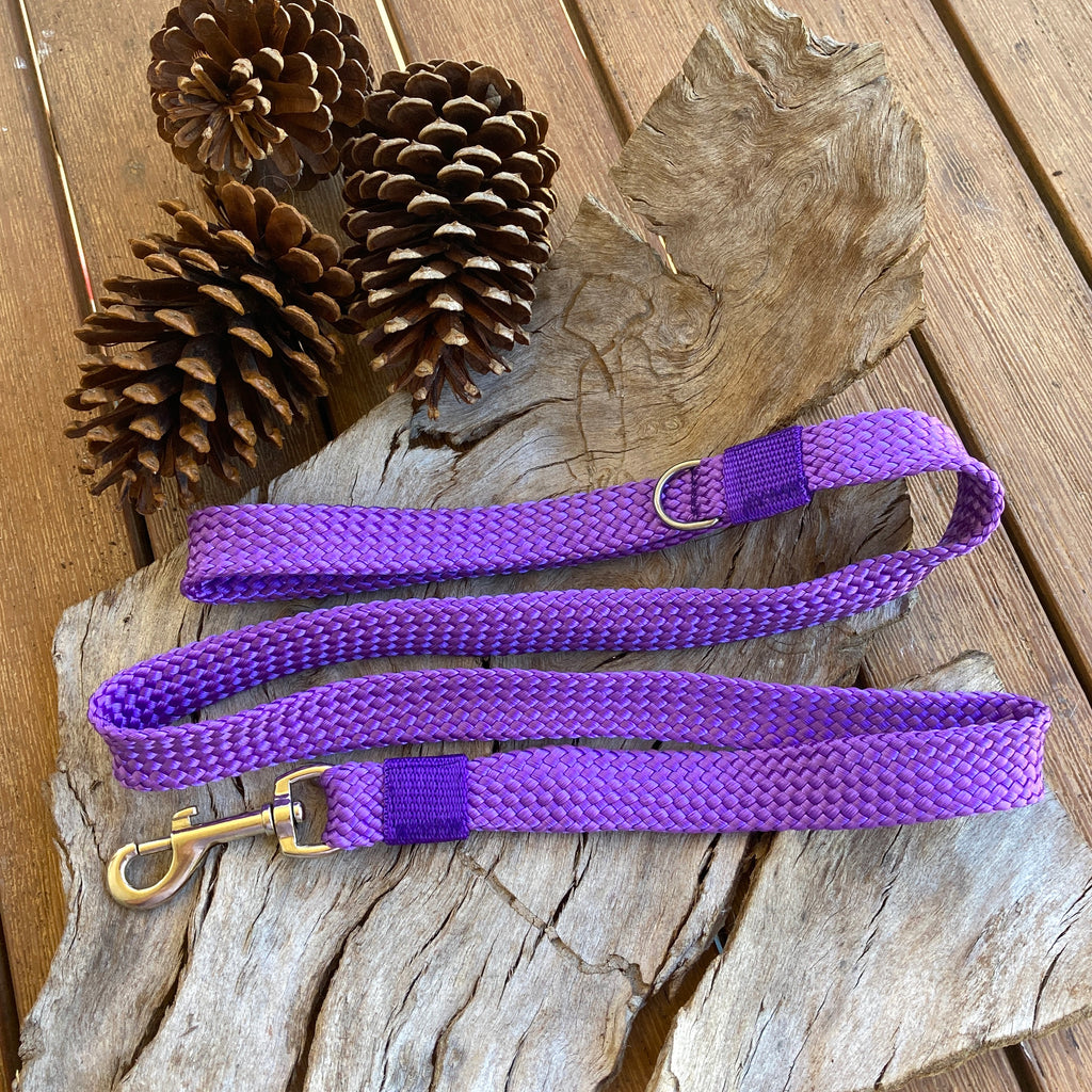 Standard Tethering Dog Lead/Leash, Plaited Polyester Webbing, Choice of Colours