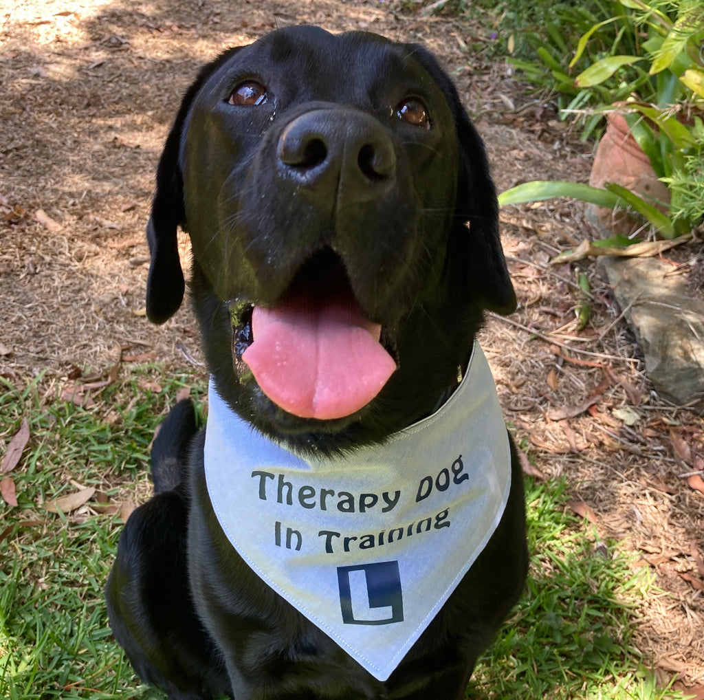 Service Dog Bandana -  Australia