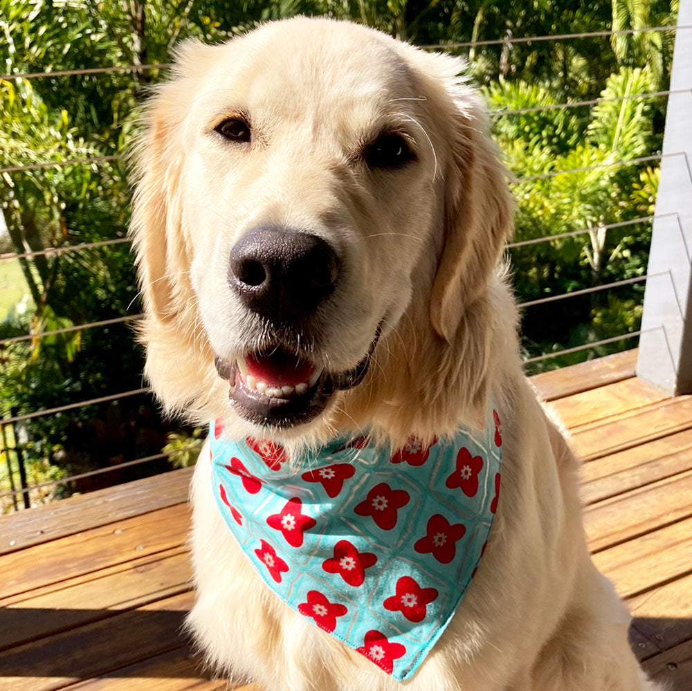 Xmas Dog Tie On Bandana, "Jade/Red Floral"