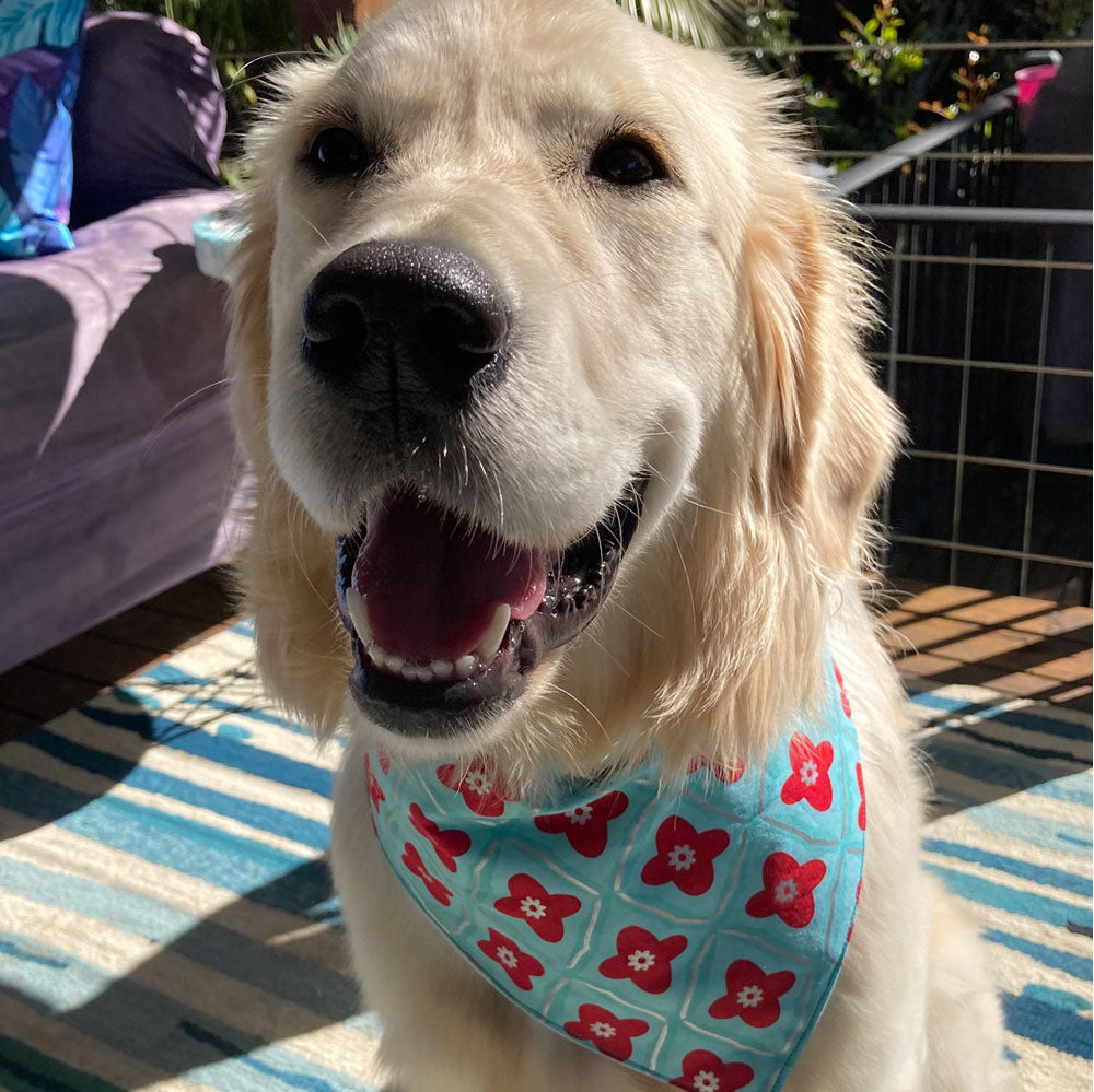 Xmas Dog Tie On Bandana, "Jade/Red Floral"