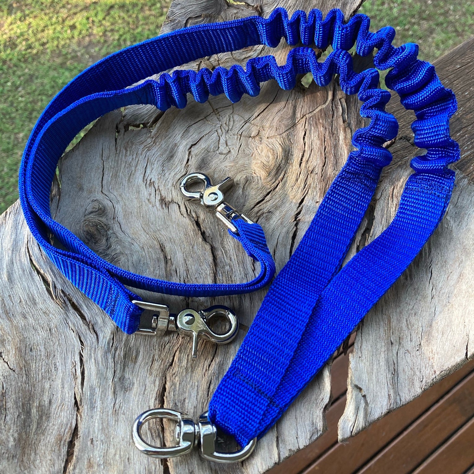 Two way shop dog leash