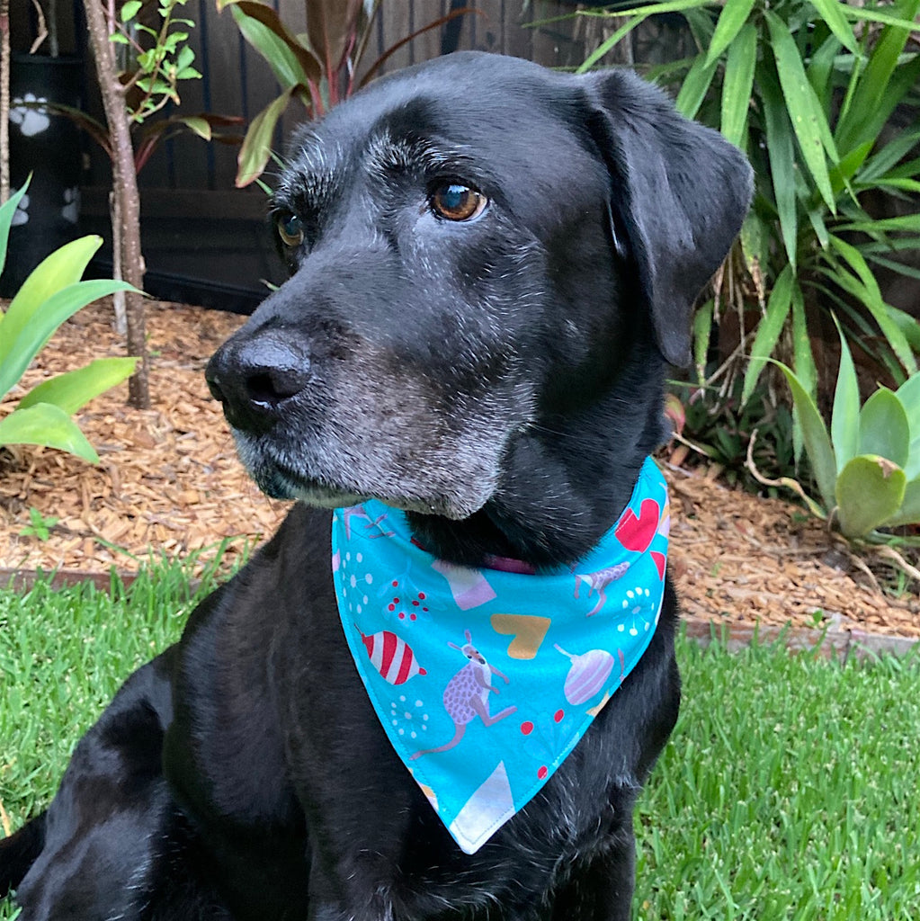 Xmas Dog Bandana, Aqua "Xmas Wallaby"