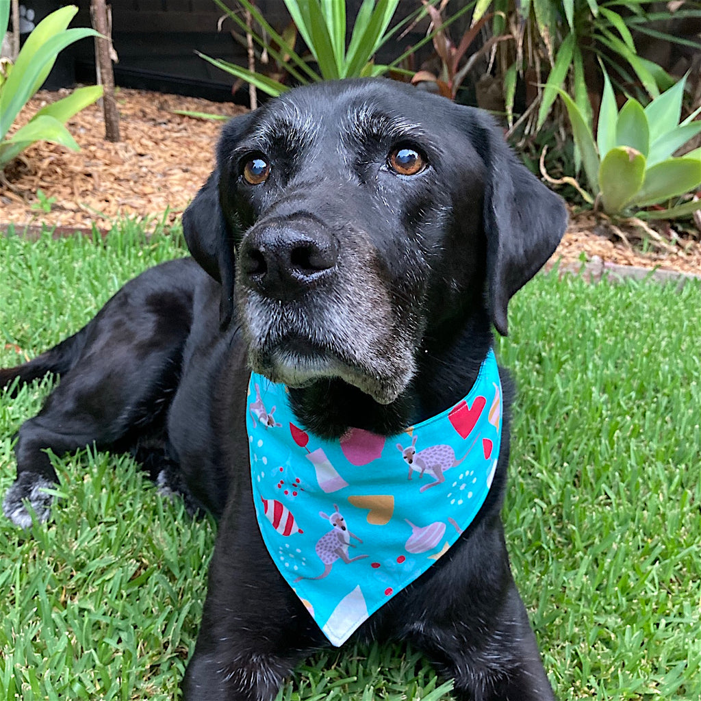 Xmas Dog Bandana, Aqua "Xmas Wallaby"