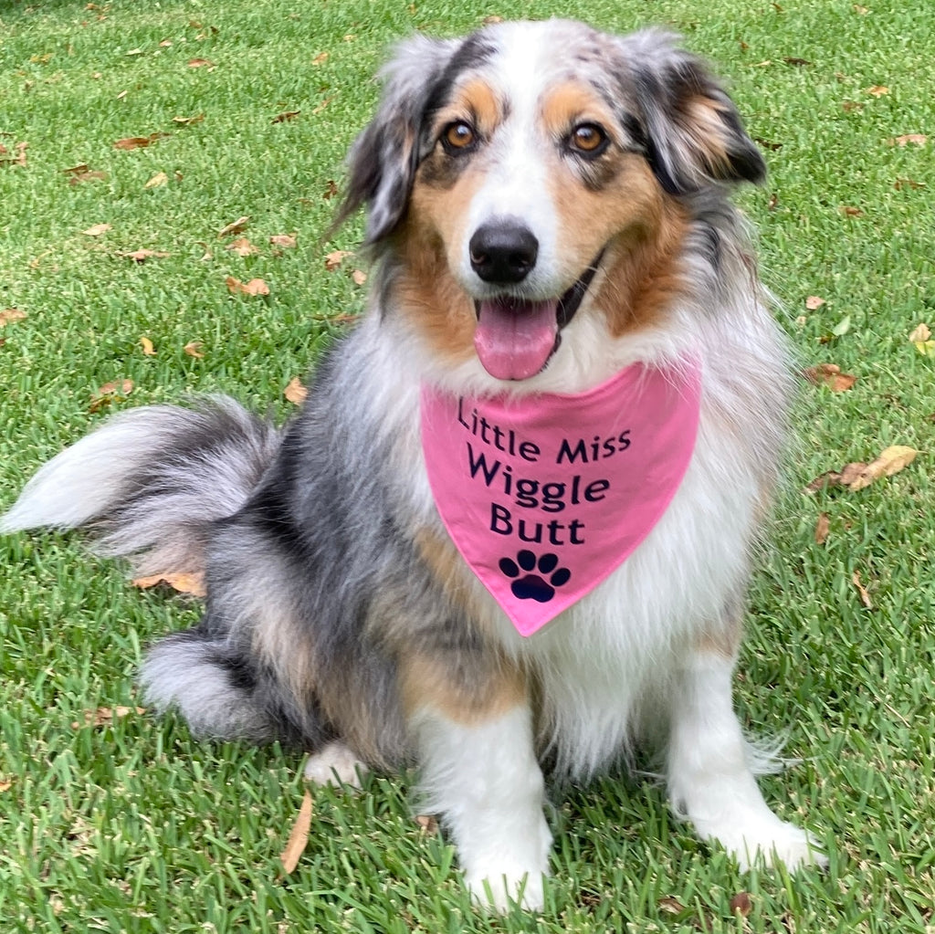 Vinyl Transfer Print Dog Bandana - LITTLE MISS WIGGLE BUTT - Your Fabric Choice