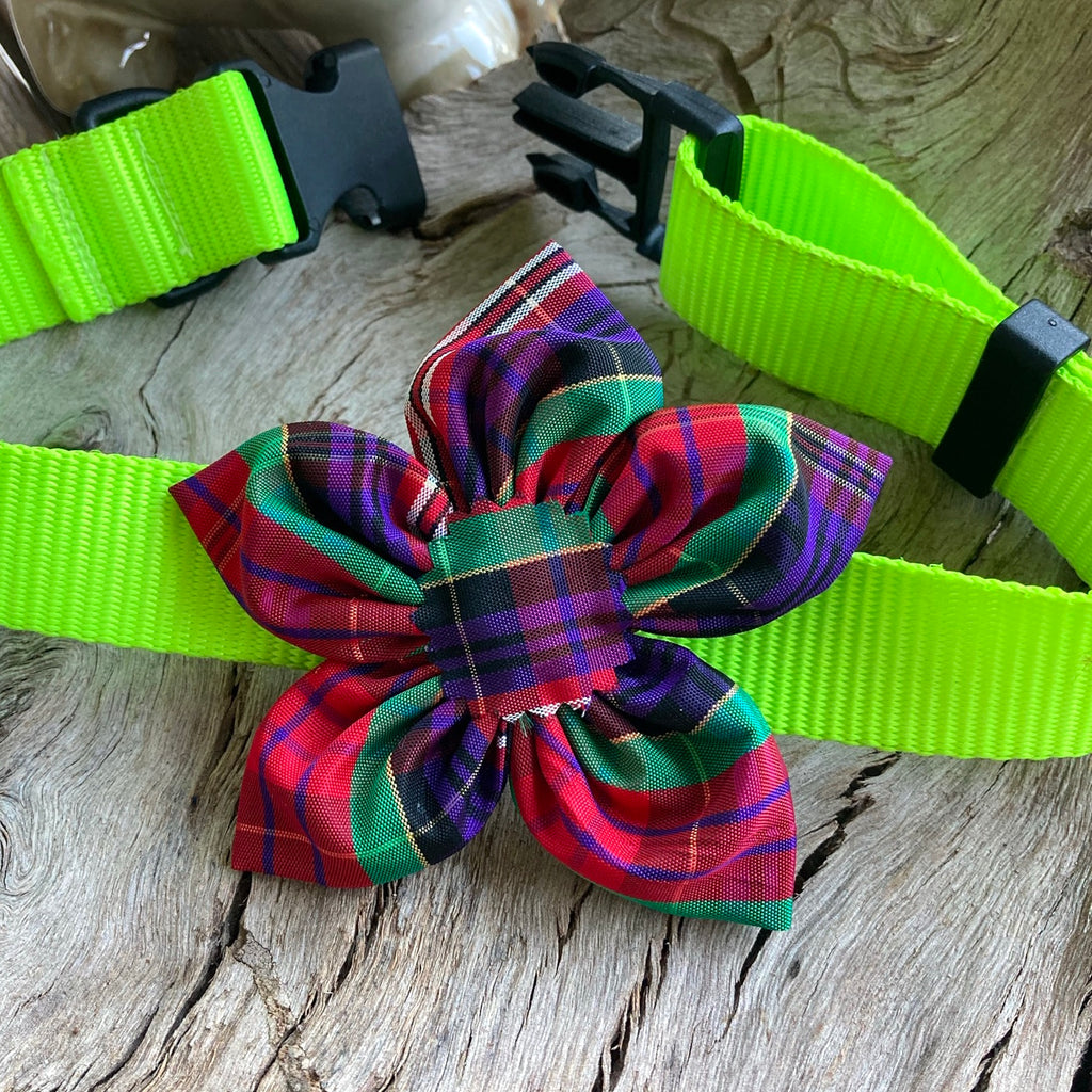 Christmas Tartan Collar Flower