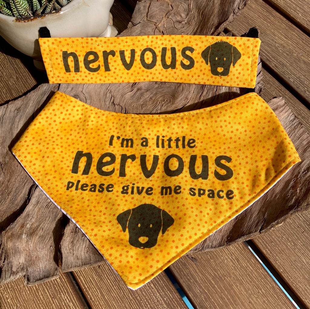 "NERVOUS DOG Bandana and Lead/Collar Strap Set" - Yellow/Orange Dotty
