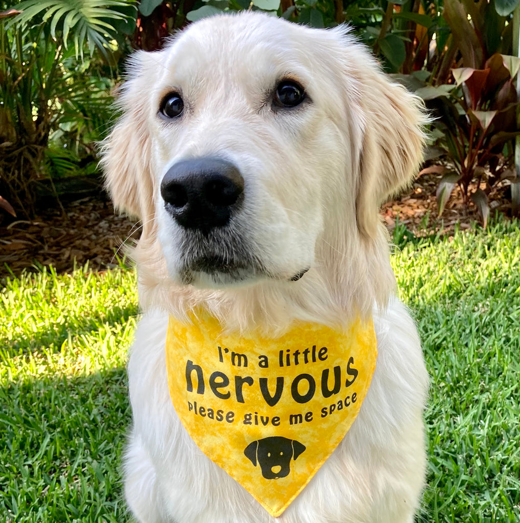"NERVOUS DOG Please Give Me Space" - Textured Yellow Bandana