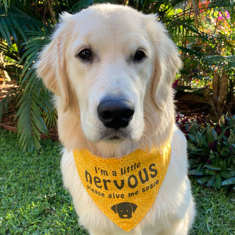"NERVOUS DOG Please Give Me Space" - Yellow Dotty Bandana