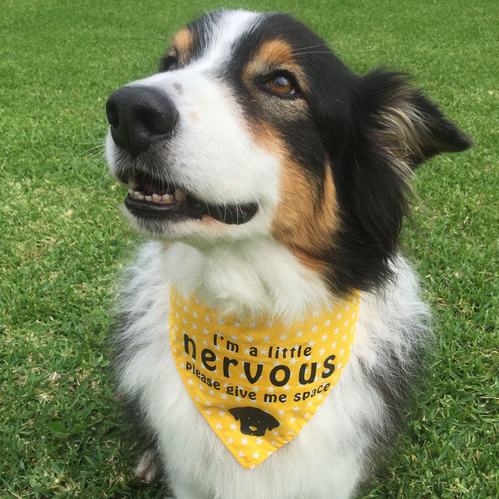 "NERVOUS DOG Please Give Me Space" - Yellow Stars Bandana
