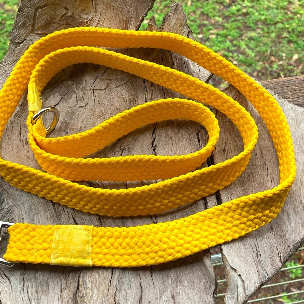 Standard Tethering Dog Lead/Leash, Plaited Polyester Webbing, Choice of Colours